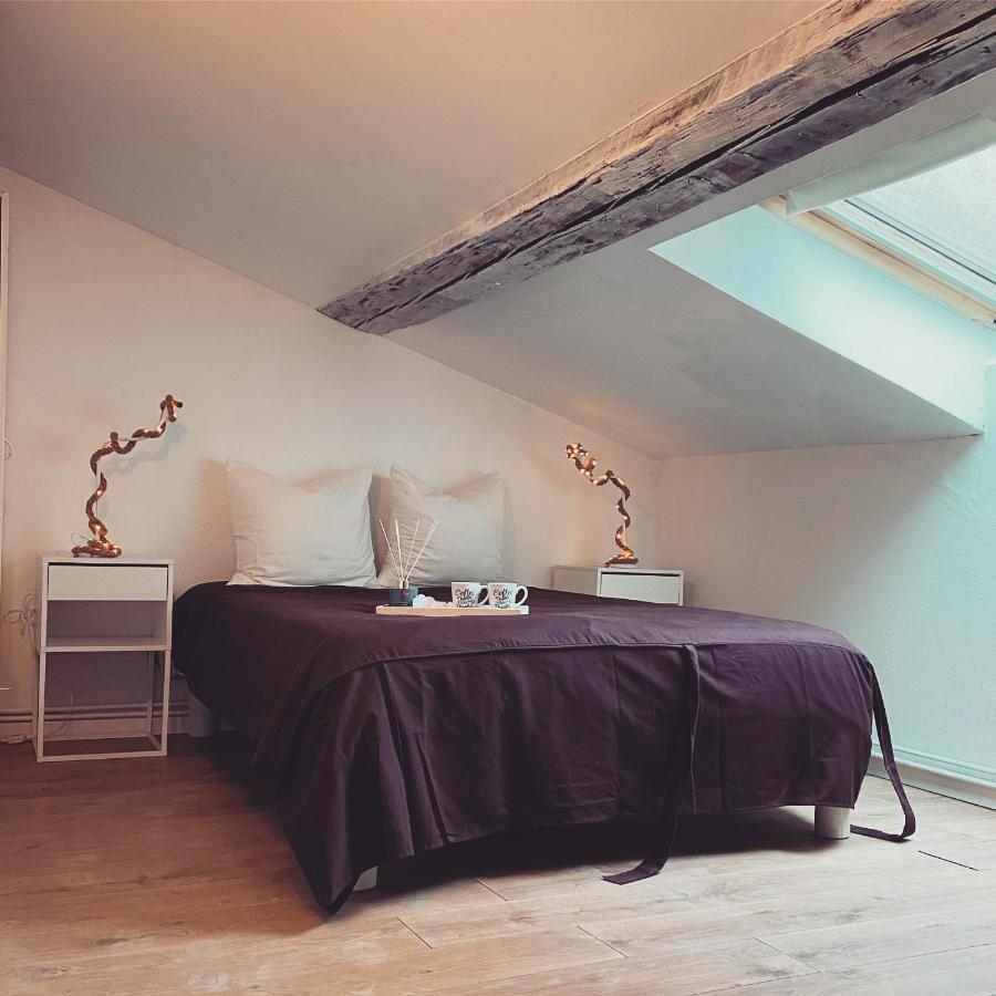 Superbe Duplex En Plein Coeur De Nancy Zewnętrze zdjęcie
